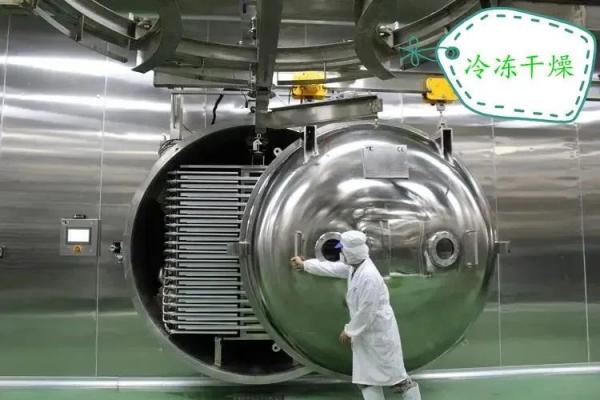 脱水蔬菜出口必要什么资质？（附具体解决流程）