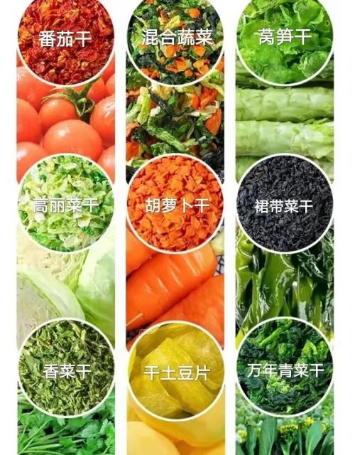 脱水蔬菜出口必要什么资质？（附具体解决流程）