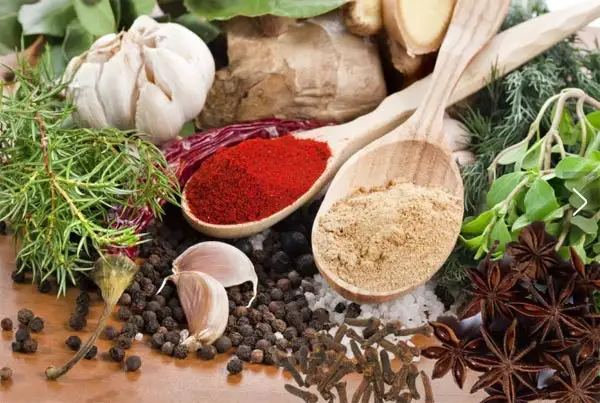 出口欧洲食品最新要求尺度