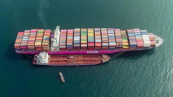 低硫附加费是什么用度？若何申报？