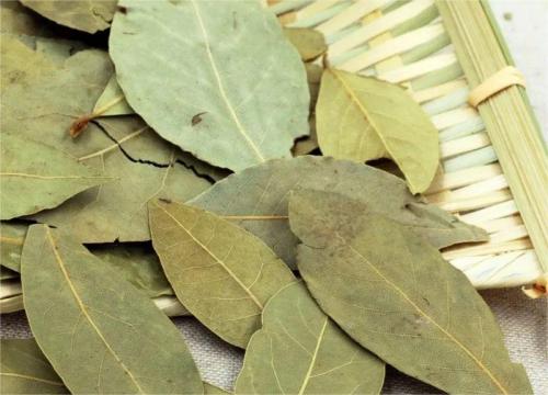 出口农产品有哪些技术性业务措施？