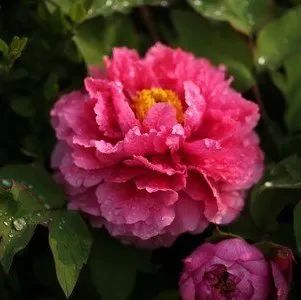 出口农产品有哪些技术性业务措施？