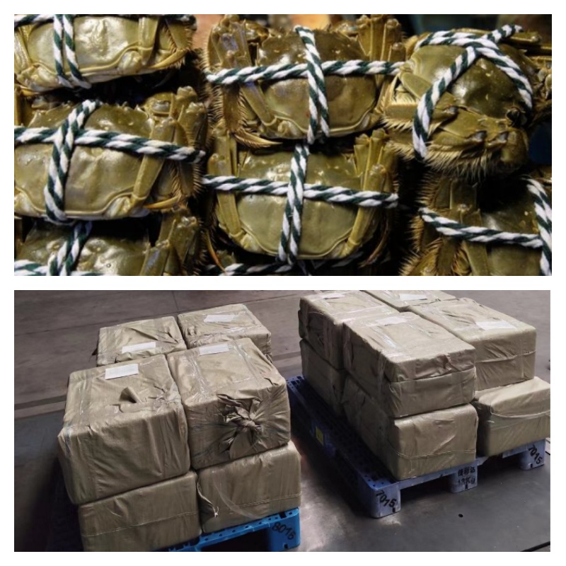 大闸蟹出口香港资质流程和手续