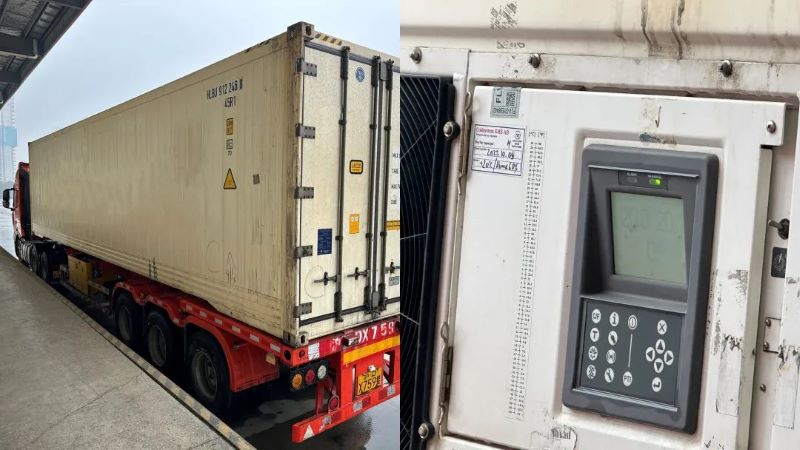 药品进口海运恒温整柜