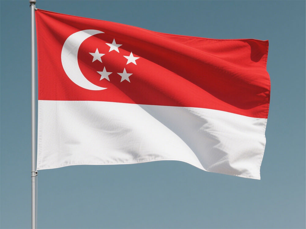 新加坡清关必要什么资料