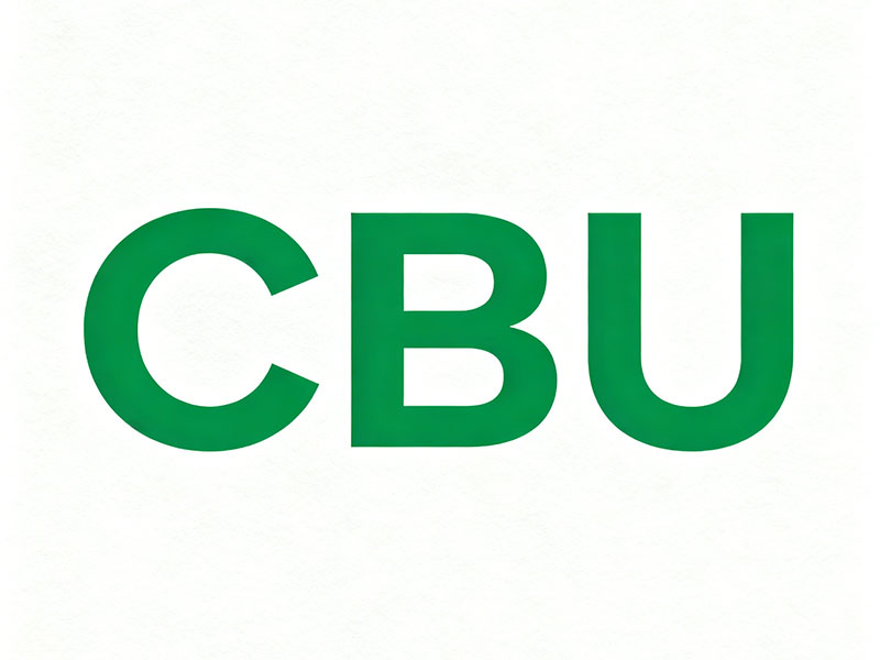 表贸cbu是什么意思